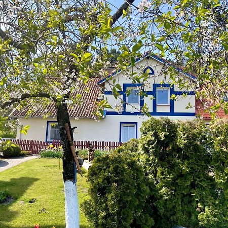 מלון Old House נידה מראה חיצוני תמונה